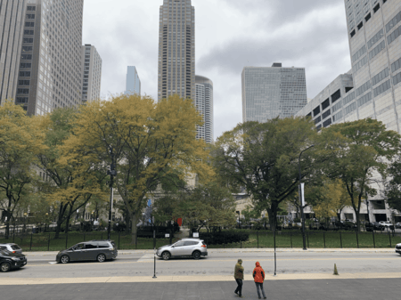 <b>Chicago Street View</b><br>This is a photo I captured with my phone of a street in Chicago, showing a view of the city’s tall buildings and a park area. Streets like these were originally designed for urban movement and transportation, and today they continue to serve as the lifelines of the city, providing spaces for commuting, walking, and connecting different parts of the urban landscape.