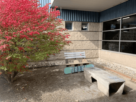 <b>Quiet Corner with Concrete Bench</b><br>This photo, taken on Sheridan campus, features a quiet corner with a concrete bench and a red bush. The area was likely designed for rest and reflection, and today it remains a serene space for people to relax or enjoy a moment of calm.